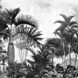 Wallpaper - Black and White Tropic